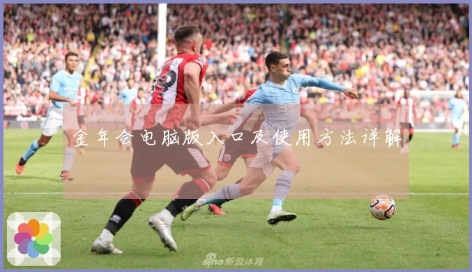 金年会电脑版入口及使用方法详解